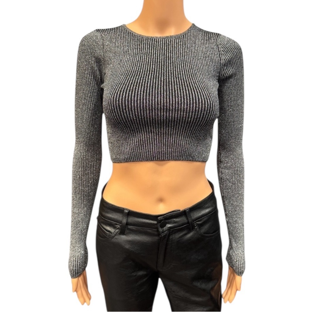 NWOT ZARA Silver Metallic Ribbed Sexy Stretchy Long Sleeve Crop Top XS